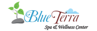 Blue Terra Spa in Delhi India - SEO & Dynamic Website Design 